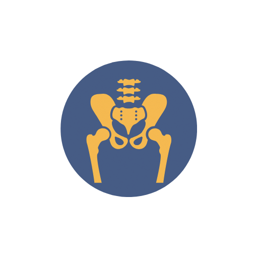 Pelvis